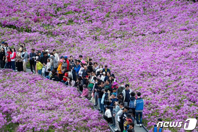 [사진] 불암산 철쭉제 인파