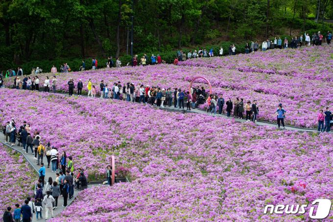 [사진] 철쭉동산 거니는 시민들