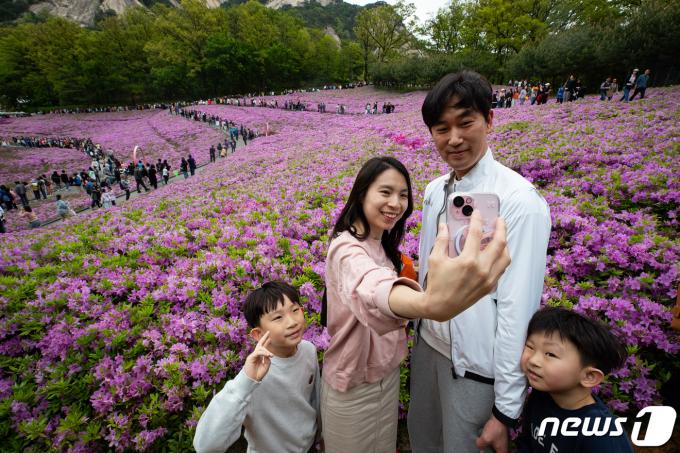 [사진] 철쭉동산의 추억