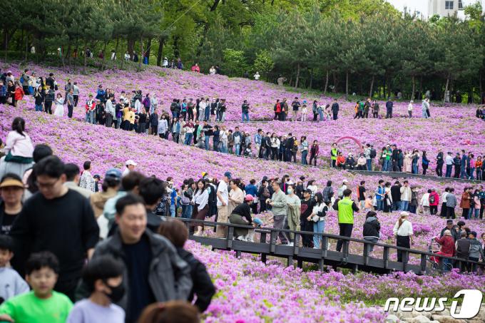 [사진] 주말 인파 몰린 불암산 철쭉제