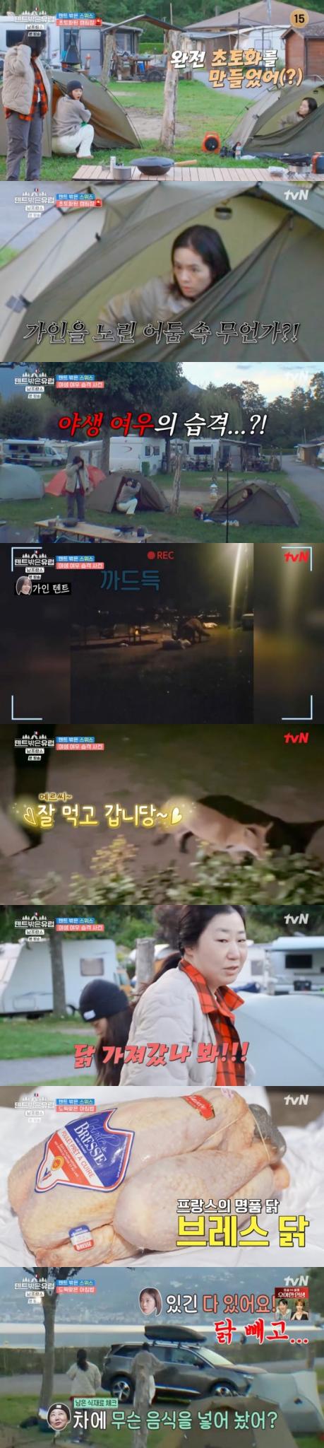 tvN '텐트 밖은 유럽 - 남프랑스 편' 방송화면 갈무리