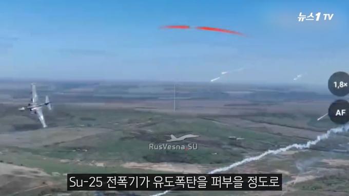 (뉴스1TV 갈무리)