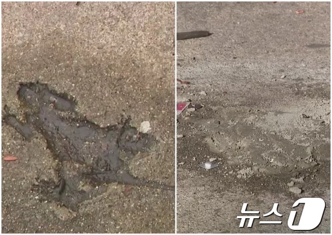 지난 1월 전세계 명성을 얻었던 쥐 모양 팟홀 이른바 '시카고 쥐구멍'이 최근 시당국에 의해 철거됐다. 앞서 지난달 메워진 보도블록이 손상됐다는 판단에 따른 것으로, 어디에 최종 보관할 지는 정해지지 않았다. 3개월 여 반짝 유명세가 저물었다. 사진은 시카고 쥐구멍 메워지기 전(왼쪽)과 메워진 후 모습. (출처 : WGNTV)