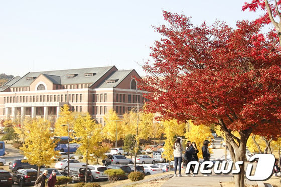 (내용과 관련없는 사진)ⓒ News1 권혜민 기자