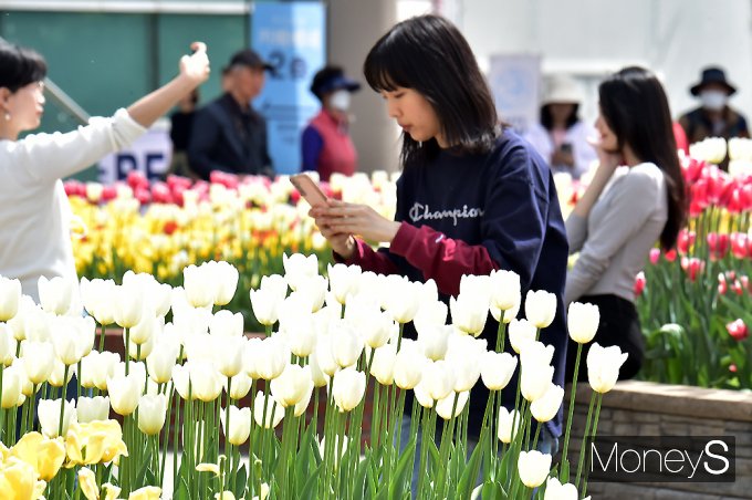 [포토스토리] '형형색색' 1억송이 꽃들의 향연… '2024 고양 꽃박람회'