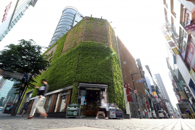 네이처리퍼블릭 명동월드점 땅값이 21년 째 서울에서 가장 비싼 곳으로 조사됐다. /사진=뉴시스