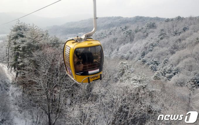 대구 팔공산 ⓒ News1 공정식 기자