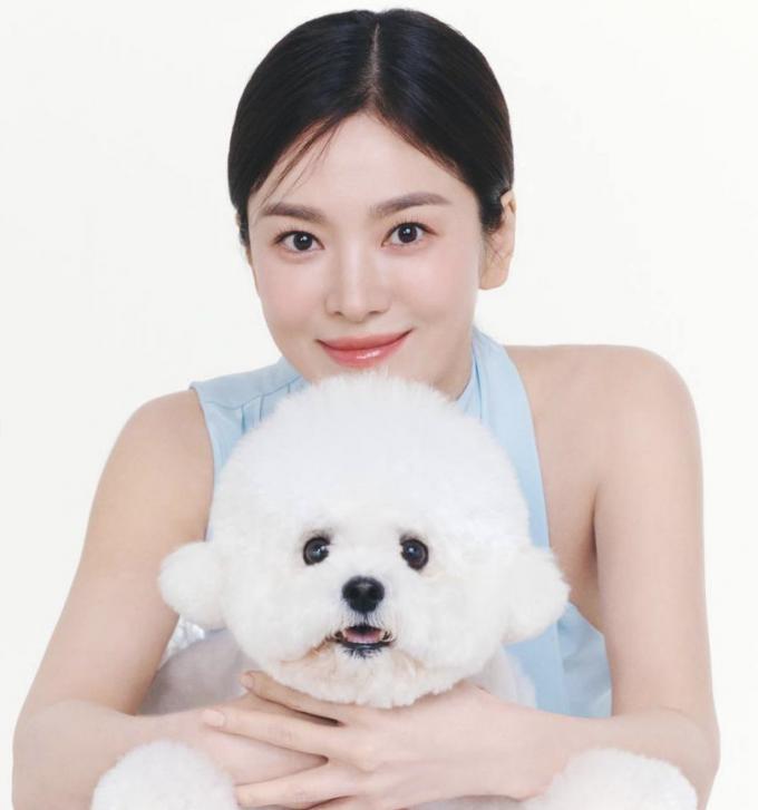 송혜교 SNS 캡처