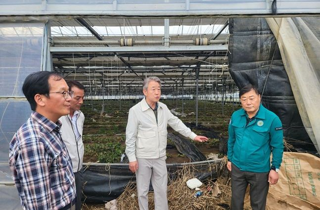 강호동 농협중앙회장이 6일 경남 합천지역 집중호우 피해농가를 방문해 살펴보고 있다. /사진=농협중앙회