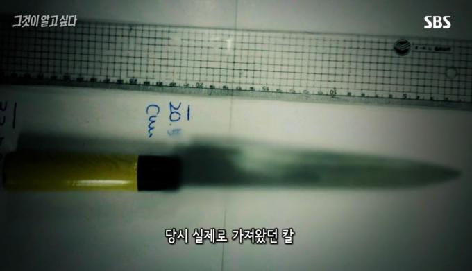 우 씨가 자수하러 왔을 때 지구대에 들고 온 회칼. 우 씨는 이와 비슷한 것으로 이 씨를 살해했다고 진술했다. (SBS '그것이 알고 싶다' 갈무리)