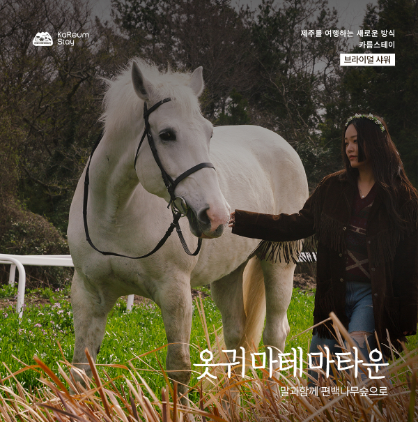 옷귀마테마타운에서는 말과 함께 사진을 찍을 수 있다. /사진=제주관광공사