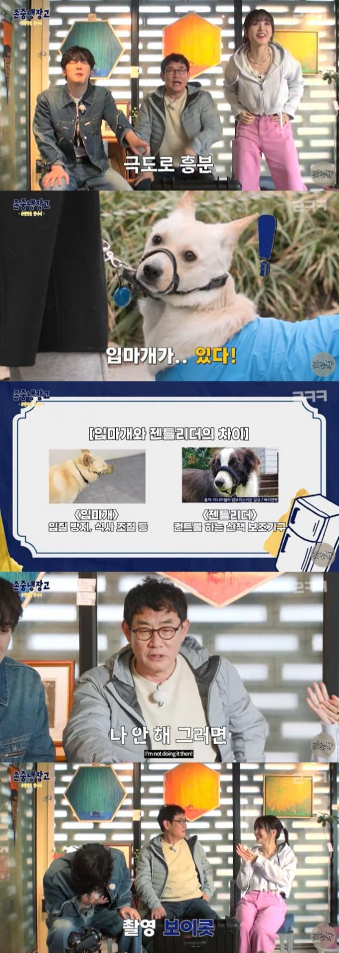 유튜브 콘텐츠 '존중냉장고 : 존잘상을 찾아서' 화면 캡처