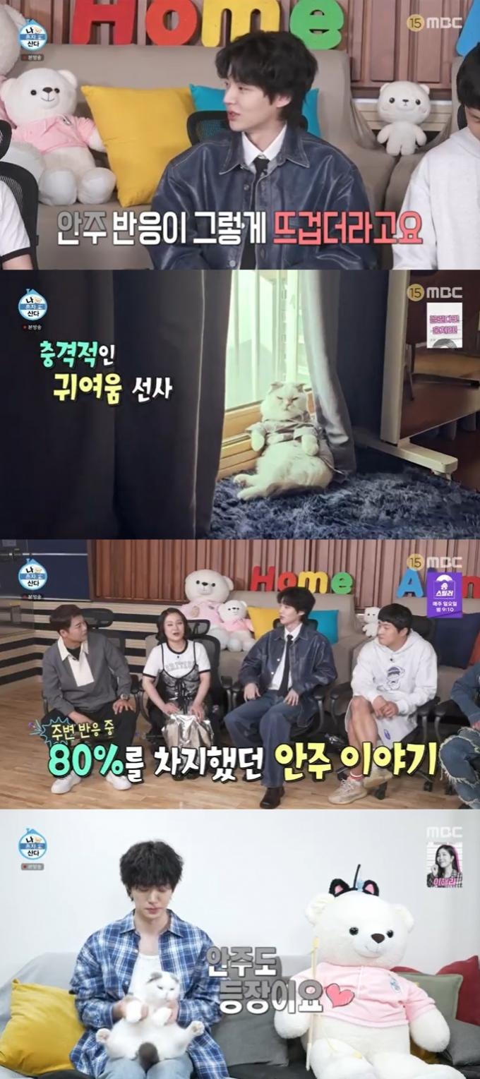 MBC '나 혼자 산다' 캡처
