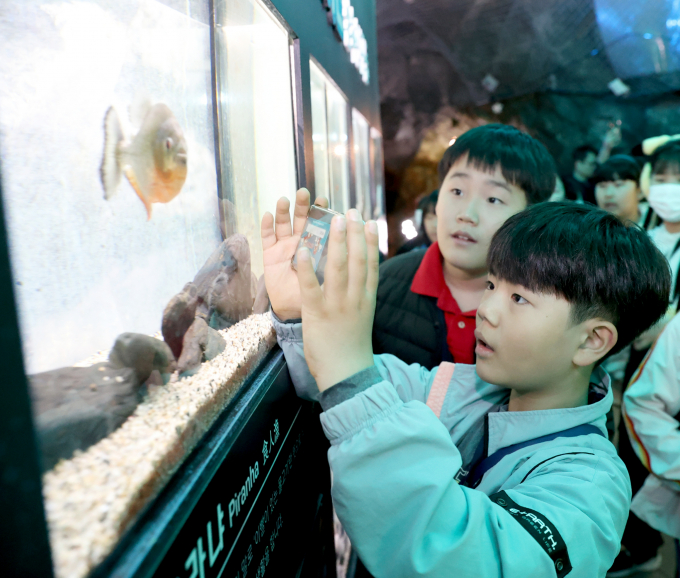 광명시는 지난 11일 제2기 꿈꾸는기자단과 학부모 60여 명을 초청해 광명동굴 탐방 행사를 진행했다. / 사진제공=광명시