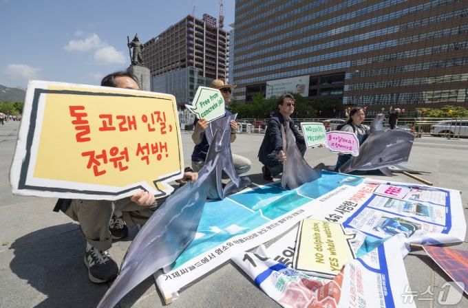 [사진] '돌고래를 석방하라'