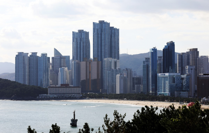 지방 주요 도시 대장 아파트들이 시세 대비 수억원 싼 가격에 법원 경매에 부쳐져도 주인을 못찾고 있다. 사진은 부산 해운대에 밀집한 아파트 단지. /사진=뉴스1