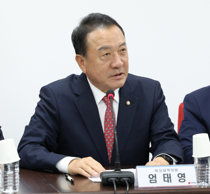 국민의힘 비상대책위원회에서 16일 국민 의견을 수렴해 전당대회 시기와 경선 룰을 정할 것이라고 말했다. 사진은  엄태영 국민의힘 비대위원이 지난 13일 서울 여의도 중앙당사에서 열린 비상대책위원회의에서 발언하는 모습. /사진=뉴스1