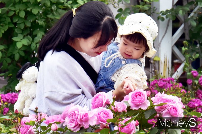 [포토스토리] '꽃의 여왕' 장미의 유혹… 