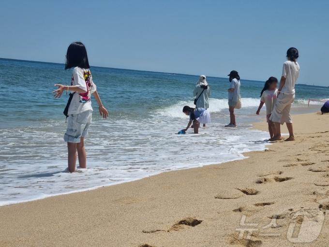 [사진] 봄바다서 물놀이