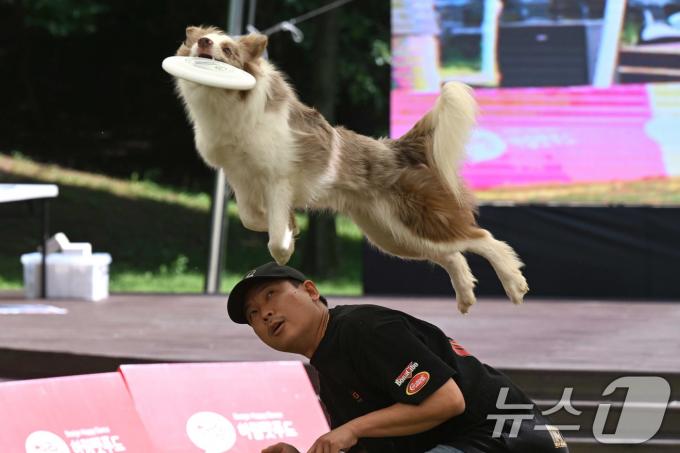 [사진] 2024 서초 독 스포츠 축제