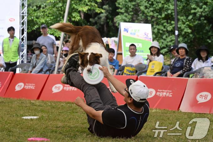 [사진] '반려견과 완벽한 호흡'