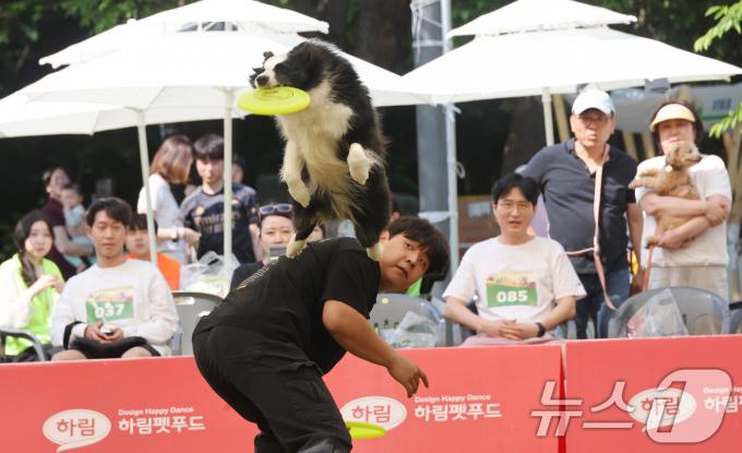 [사진] '화려한 묘기'