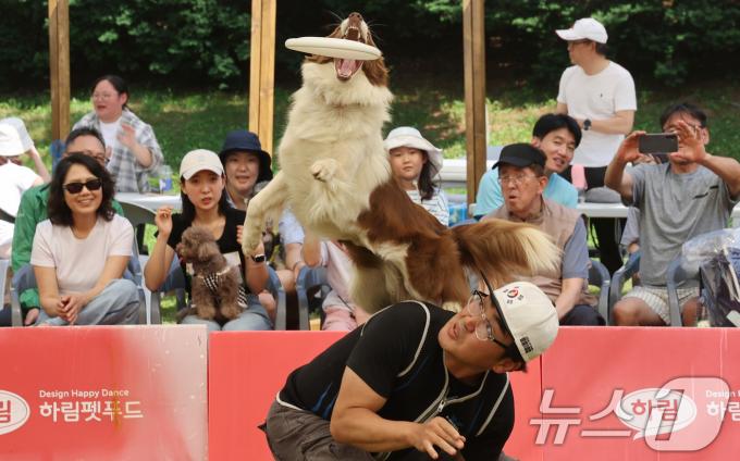 [사진] '원반을 향해 점프'