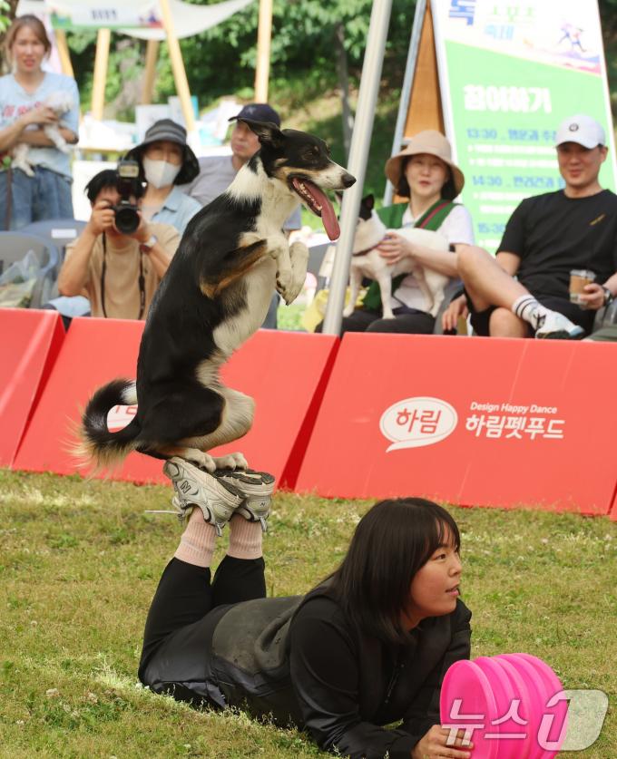 [사진] '완벽한 밸런스'