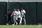 샌프란시스코 자이언츠 이정후(오른쪽에서 세 번째)가 메이저리그 첫 시즌을 어깨 부상으로 조기 마감했다.ⓒ AFP=뉴스