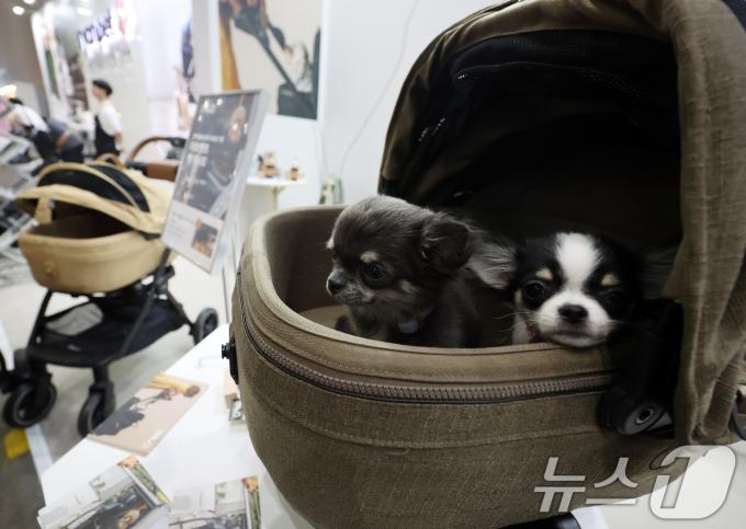 [사진] '내 집처럼 편안해요'