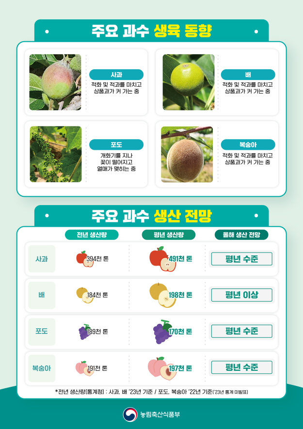 농식품부가 5월 현재 주요 원예농산물의 생육상황과 예상 생산량이 양호하다고 21일 밝혔다. /그래픽=농림축산식품부