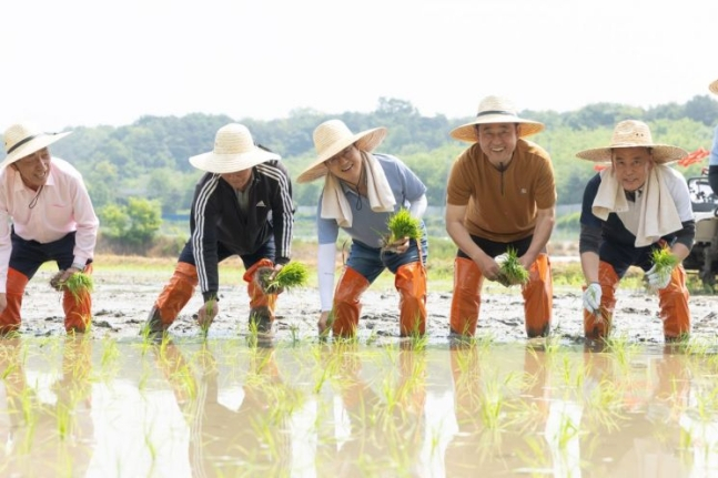 김동연 경기도지사(오른쪽 세번째)가 22일 여주시 가남읍에서 모내기를 하고 있다. / 사진제공=경기도