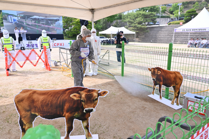 경기도 럼피스킨 가축전염병 발생 대비 가상방역훈련 현장. /사진제공=양평군
