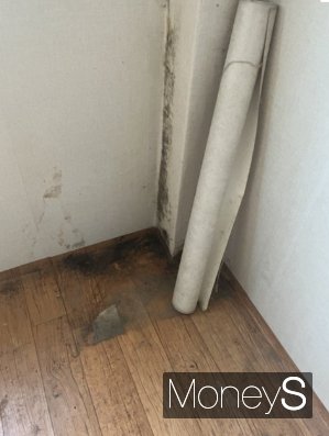 22일 글쓴이가 네이트판에 올린 사진. /사진=네이트판 캡처