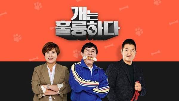 강형욱의 '갑질 논란'을 둘러싼 진실공방이 이어지고 있는 가운데 그가 출연 중인 KBS2 '개는 훌륭하다'가 2주 연속 결방을 이어간다. /사진=개훌륭 제공