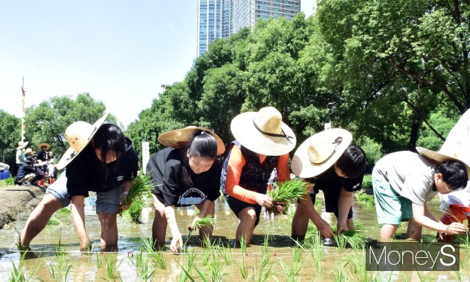 ▲ 한모 한모 정성껏… "이제 쌀 한톨 안남기고 맛있게 먹을래요"