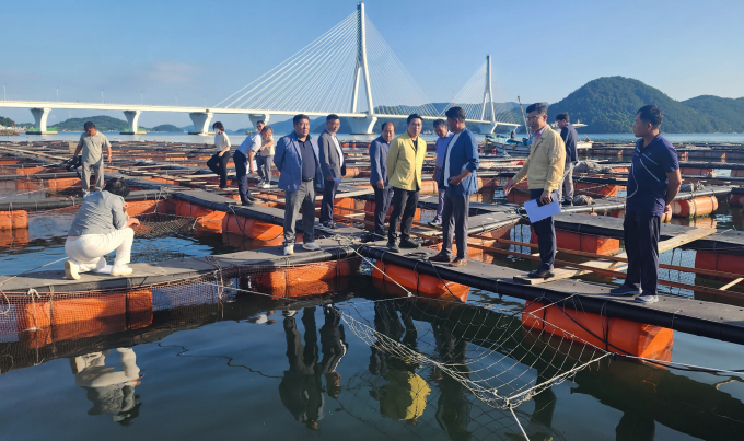                                              수산물 실태점검 모습/전남도