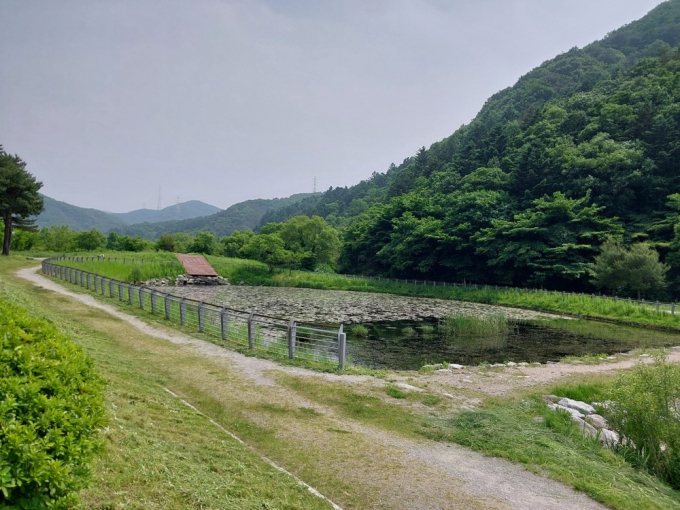  길업습지 모습. / 사진제공=용인특례시 