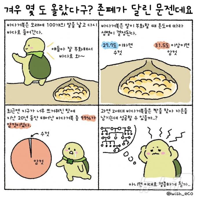 (위시에코 인스타그램 제공) ⓒ 뉴스1
