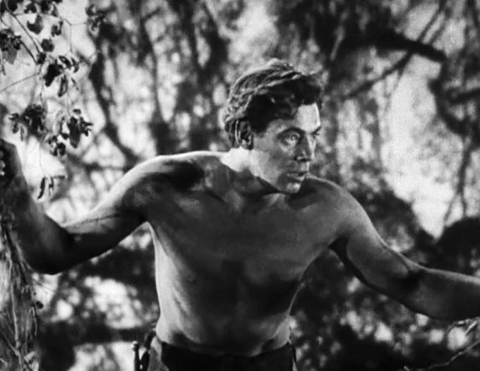 타잔 역의 조니 와이즈뮬러.(출처: MGM, Tarzan the Ape Man trailer, 흑백사진(1932), Wikimedia Commons, Public Domain)