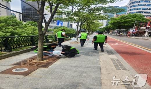 지난 달 20일 서울 YMCA가 종로~광화문 일대에서 줍깅 활동을 벌이는 모습. (서울시 제공)ⓒ 뉴스1