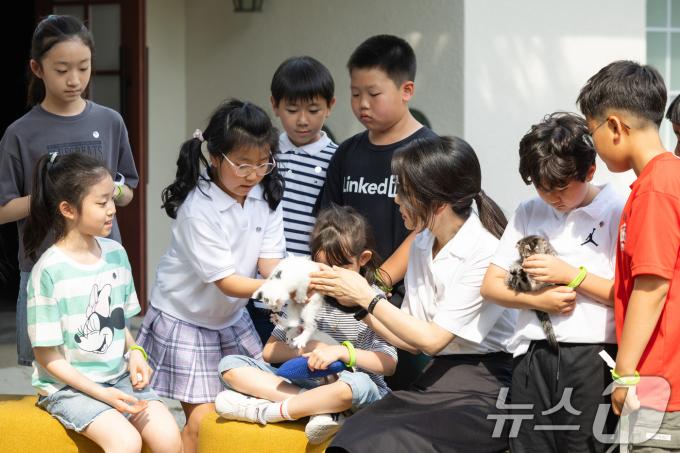 [사진] 유기묘가 낳은 새끼 고양이에 대해 설명하는 김건희 여사