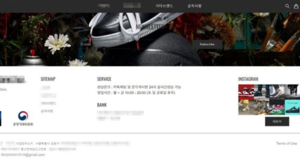 가품 운동화를 정품으로 속여 판매한 일당이 검거됐다. 사진은 범죄에 사용된 홈페이지 모습. /사진=뉴시스(경기남부경찰청 제공)