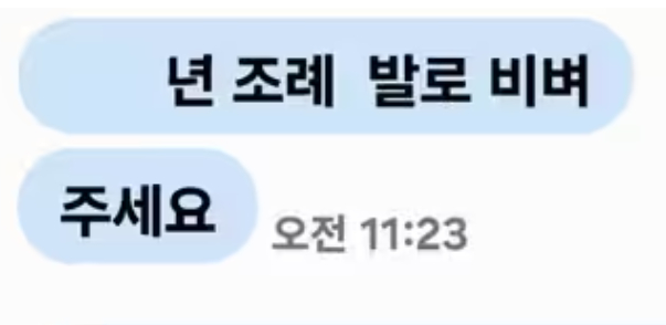 천안시의회 여성 의원 8명이 이 의원의 문자 메시지를 공개했다.  /사진=뉴스1