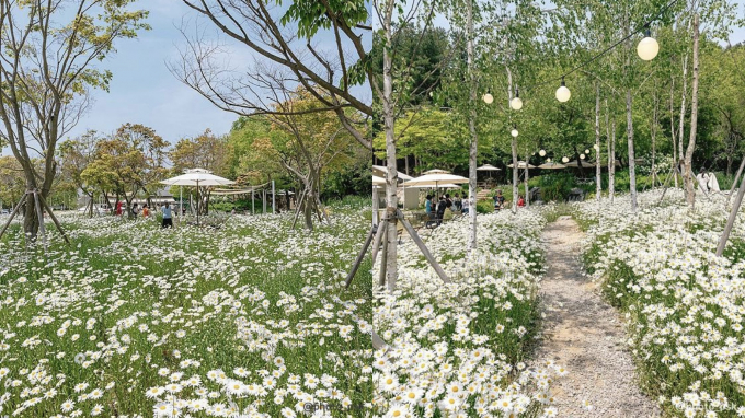 자연과 함께하는 탁 트인 대형 베이커리를 찾는다면 카페 필무드가 제격이다. /사진=한국관광공사