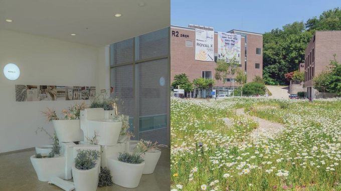 화성 로얄엑스 클럽에서는 욕실에서 영감을 받은 이색적인 콘셉트를 만나볼 수 있다. /사진=한국관광공사