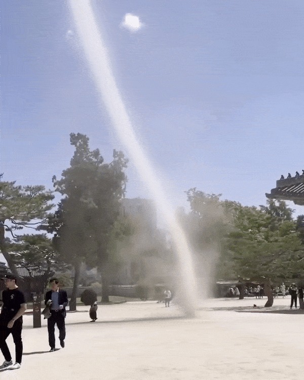 (온라인 커뮤니티 갈무리)