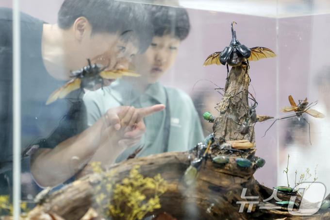 [사진] '신기한 곤충의 세계'