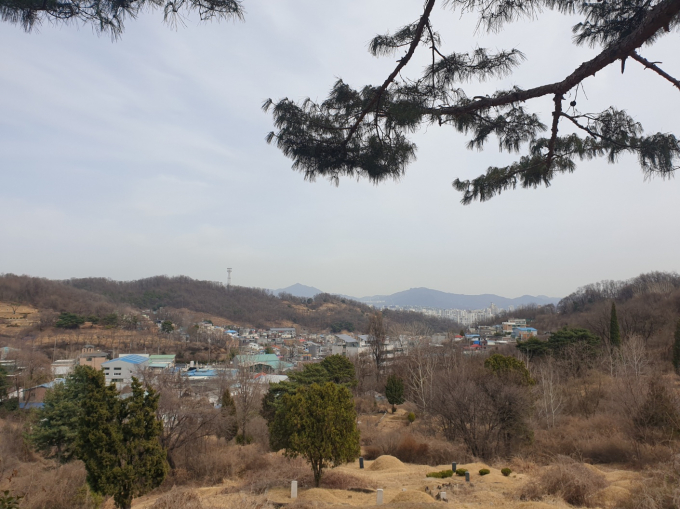 망우산에서 바라본 딸기원 제1지구 전경. /사진=이건구 기자