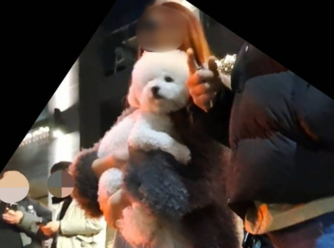 검찰이 만취 상태로 앞서가던 오토바이 운전자를 들이받아 숨지게 한 유명 DJ에 대해 징역 15년을 구형했다. 사진은 해당 DJ가 사고 직후 강아지를 안고 있는 모습. /사진=보배드림 캡처